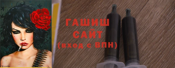 шишки Ельня