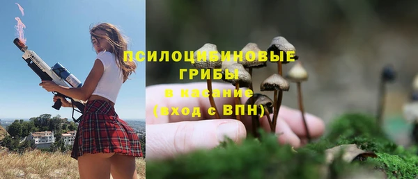 дурь Заводоуковск