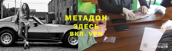 шишки Ельня