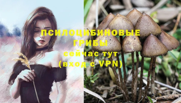 MDMA Заволжск