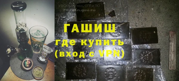 шишки Ельня