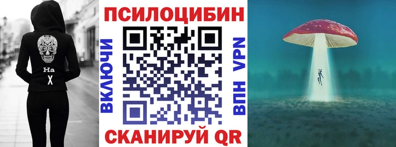 Купить Солигалич Галлюциногенные грибы Psilocybe